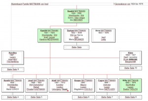 Stammbaum Familie MATTMANN von Inwil, 3 Generationen von 1824 bis 1979
