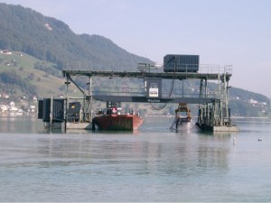 Steinrose am Bagger, Sarnersee