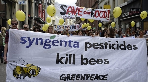 In Basel demonstrierten über 1000 Menschen gegen die Agrochemiekonzerne Monsanto und Syngenta Quelle: Keystone 