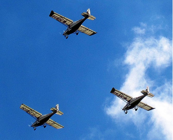 Grasshoppers in Formation neuebürgerzeitung de